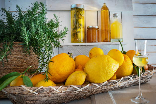 zitrone,limoncello,zitronen ** lemon,limoncello,lemons,limoncellos m72-ko1