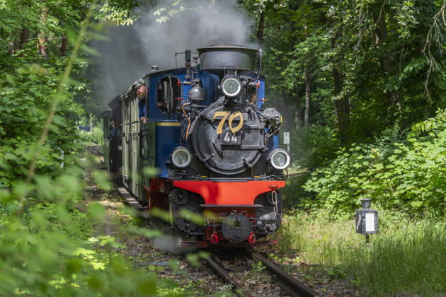 Am Jubiläumswochenende am 6. und 7. Juni 2026 feiert die Parkeisenbahn im Volkspark Wuhlheide in Berlin-Köpenick ihren 70. Geburtstag. Auf der Strecke verkehren gleich vier Züge, gezogen von historischen Dampflokomotiven und Diesellokomotiven. Auf dem Foto ein von einer historischen Dampflok gezogener Zug.