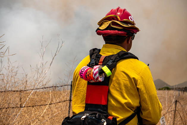 June 10, 2026, Oceanside, California, USA: Fire crews battle the November Fire off Foussat Rd. in Oceanside, California, on June 10, 2026. Multiple resources were called to subdue the nearly 850 acre fire that borders Camp Pendleton and the Whelan Lake Audubon Society Preserve. Oceanside USA - ZUMAg219 20260610_znp_g219_005 Copyright: xJakexLeexGreenx