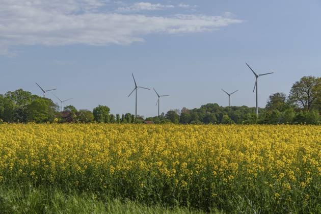 Mehrere Windräder stehen hinter einem blühenden Rapsfeld unter einem bewölkten Himmel, weseke, borken, münsterland, deutschland Several wind turbines stand behind a blooming rapeseed field under a cloudy sky, Weseke, Borken, Münsterland, Germany Copyright: imageBROKER StephanxSuehling ibxssh17562439.jpg