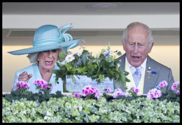 . 19 06 2026. London, United Kingdom. King Charles III and Queen Camilla cheer on their horse Warrant Holder who came in second on day four of Royal Ascot, United Kingdom.  xStephenxLockx xi-Imagesx IIM-26840-0060