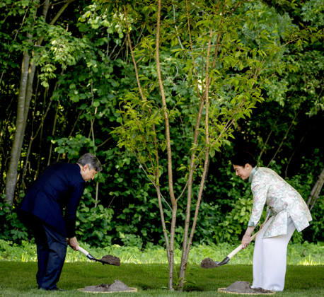 19-06-2026 Amsterdam Emperor Naruhito of Japan and Empress Masako planting a cherry tree in the Blossom Park in the Amsterdam Forest on the 3rd and last day of the 3 day statevisit to the Netherlands. Â  Copyright: xPPEx
