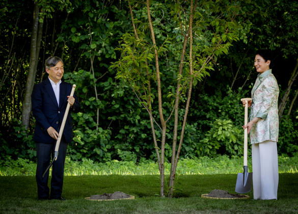 19-06-2026 Amsterdam Emperor Naruhito of Japan and Empress Masako planting a cherry tree in the Blossom Park in the Amsterdam Forest on the 3rd and last day of the 3 day statevisit to the Netherlands. Â  Copyright: xPPEx
