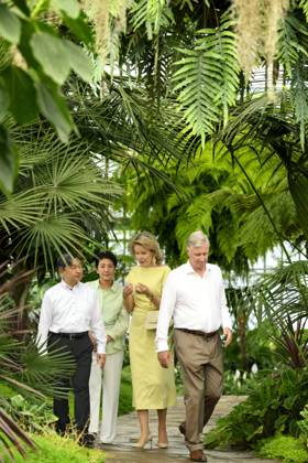 State Visit of the Emperor and the Empress of Japan to Belgium BRUSSELS, BELGIUM - JUNE 25 : Emperor Naruhito of Japan, Empress Masako of Japan, King Philippe - Filip of Belgium and Queen Mathilde of Belgium pictured during a wallk in the Royal Greenhouses of Laeken during the state visit of the Emperor and Empress of Japan to Belgium, on June 25, 2026 in Brussels, Belgium, 25 06 2026 Brussels Belgium  Copyright: xPhilipxReynaersx