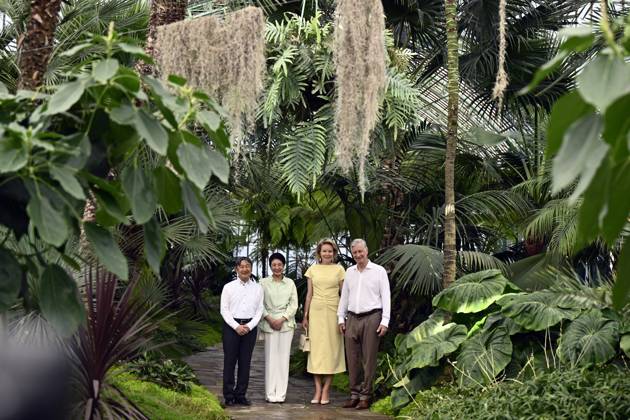 King Philippe - Filip of Belgium, Japanese Empress Masako, Japanese Emperor Naruhito and Queen Mathilde of Belgium pictured at a visit to the Royal Greenhouses and the Japanese Tower in Laken - Laeken, Brussels, during an official state visit of the Japanese Emperor and Empress to Belgium, on Thursday 25 June 2026. The Emperor and Empress of Japan visit Belgium from June 20-25.  ERICxLALMAND 179221471