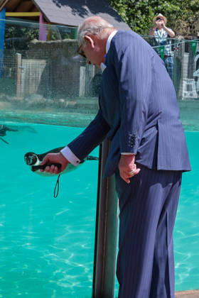 July 9, 2026, London, London, UK: London, UK. King Charles III holding a laser pointer to attract Humboldt penguins at Penguin Beach during a visit to London Zoo marking the 200th anniversary of the Zoological Society of London. London UK - ZUMAl94_ 20260709_zaf_l94_017 Copyright: xDinendraxHariax