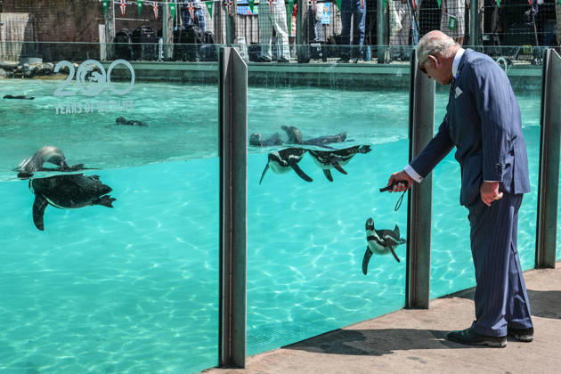 King Charles and Queen Camilla celebrate London Zoo™s 200th Anniversary King Charles and Queen Camilla visit ZSL London Zoo, to celebrate the Zoo™s 200th Anniversary, in London, UK, on the 9th July 2026. Picture by Richard Pohle WPA-Pool London ZSL London Zoo London United Kingdom  WHA-0830