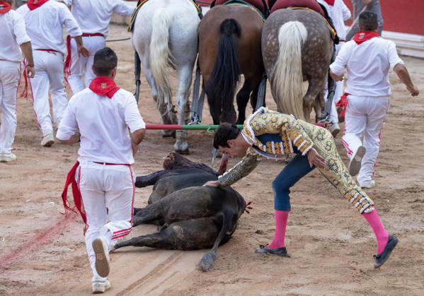Thomas Rufo pats the hide of his first bull from the ranch of Jandilla named Castigado and weighing 565 kilos as the bull is taken on a lap around the bullring mind a loud round of applause following a fight by Rufo who cut two ears as awards in the final bullfight in the Fiesta de San Fermin and Feria del Toro 2026 in Pamplona, northern Spain, on July 14, 2026. Rufo cut four ears on his two bulls and was carried out from the bullring on shoulders. The renowned festival ends at midnight today.  PAM20260714158 JimxHollander