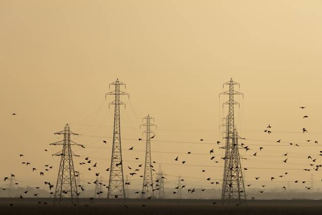 Ausgewachsene Stare (Sturnus vulgaris), die bei Einbruch der Dämmerung im Rahmen eines Murmurations Schwarmfluges gemeinsam fliegen, mit Strommasten im Hintergrund, England, Großbritannien Common starling (Sturnus vulgaris) adult birds flying together in a flock during a murmuration at dusk with electricity pylons in the background, England, United Kingdom Copyright: imageBROKER KevinxSawford ibxksa18522150.jpg