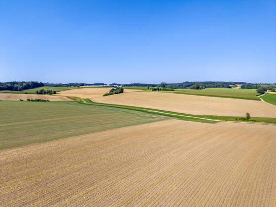 Abgeerntetes Getreidefeld, Stoppelfeld, Sommer, Trockenheit, Klimawandel, Luftaufname, Drohnenaufnahme, Landschaft, Bayern, Deutschland Abgeerntetes Getreidefeld, Stoppelfeld