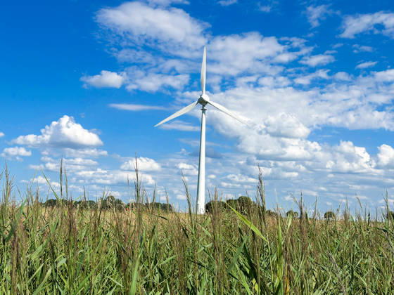 Windkraftanlage in ländlicher Landschaft mit hohem Schilfgras unter blauem Himmel und markanten Quellwolken. Symbolbild für Windenergie, erneuerbare Energien, Energiewende, Klimaschutz, Stromerzeugung, nachhaltige Energieversorgung, Umwelt, Infrastruktur, Landwirtschaft, Natur, ländlicher Raum, Sommer, Weitwinkel, Totale, Windpark, Energiepolitik, Ökostrom. Dornum Niedersachsen Deutschland Copyright: xJOERANxSTEINSIEKx