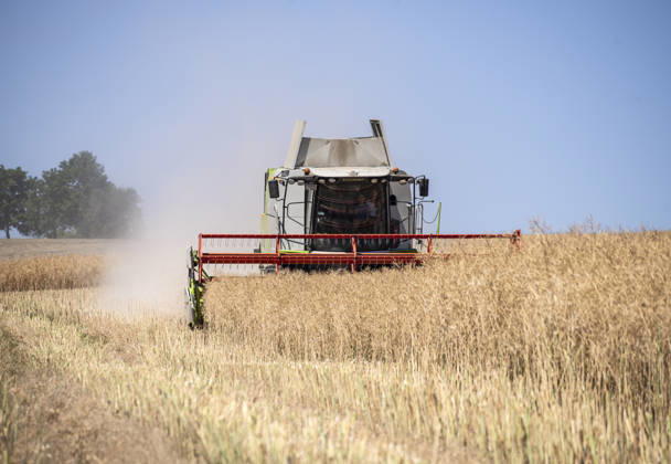 Nürnberg: Mähdrusch auf dem Feld. - Ein Landwirt erntet mit seinem Mähdrescher vom Typ Claas Tucano an einem sonnigen Sommertag ein großes Rapsfeld bei Burghaslach in Franken (Bayern) ab. Die gewonnenen Körner werden bis zum regelmäßgen Entleeren in einem Korntank gesammelt. Nicht benötigtes Häckselgut und Pflanzenreste pustet die Maschine nach hinten als Düngung aus. Für die Ernte stehen in heißen Sommern oft nur wenige Tage zur Verfügung. Nürnberg Bayern Deutschland