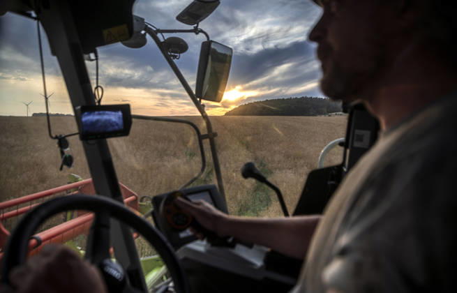 Nürnberg: Mähdrusch in der Dämmerung. - Ein Landwirt erntet mit seinem Mähdrescher vom Typ Claas Tucano ein großes Rapsfeld bei Burghaslach in Franken (Bayern) ab. Manchmal fällt sein Blick aus dem Führerstand auf romantische Sonnenuntergänge. Für die Ernte stehen in heißen Sommern oft nur wenige Tage zur Verfügung, die bis spät in die Nacht genutzt werden müssen. Nürnberg Bayern Deutschland