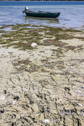 Ein Ruderboot ist festgemacht an einer Boje weit entfernt vom eigentlichen Ufer des Bodensee. Sorge bereitet der niedrige Wasserstand. Der Zugang zum Wasser ist erschwert. 07.08.2026, Reichenau, Baden-Württemberg, Deutschland