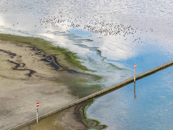 Radolfzeller Aachmündung. Hafen von Moos am Bodensee mit wenig Wasser. Der Wasserstand ist aufgrund des heißen Sommers auf einem Tiefststand. In vielen Häfen des Untersees ist kaum noch Wasser. Moos liegt am Ufer des Bodensees auf der Halbinsel Höri. 06.08.2026, Moos, Baden-Württemberg, Deutschland