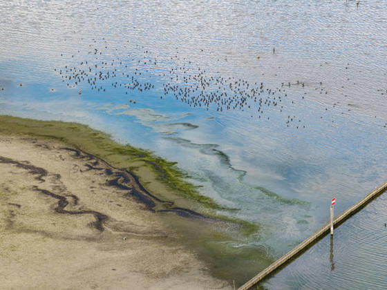 Bodenseeufer bei Moos mit wenig Wasser. Der Wasserstand ist aufgrund des heißen Sommers auf einem Tiefststand. In vielen Häfen des Untersees ist kaum noch Wasser. Moos liegt am Ufer des Bodensee auf der Halbinsel Höri. 06.08.2026, Moos, Baden-Württemberg, Deutschland