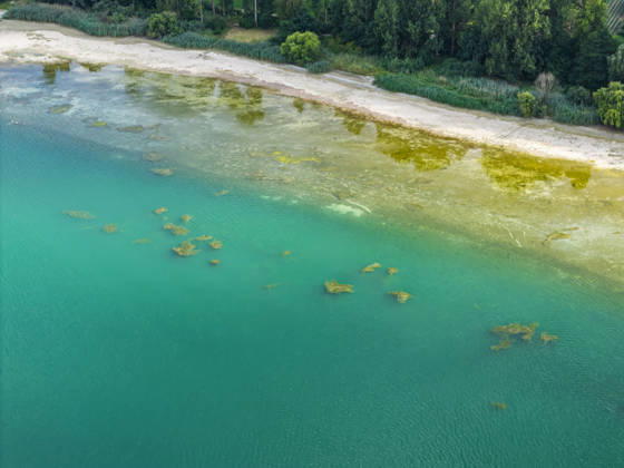 Bodenseeufer bei Moos mit wenig Wasser. Der Wasserstand ist aufgrund des heißen Sommers auf einem Tiefststand. In vielen Häfen des Untersees ist kaum noch Wasser. Moos liegt am Ufer des Bodensee auf der Halbinsel Höri. 06.08.2026, Moos, Baden-Württemberg, Deutschland