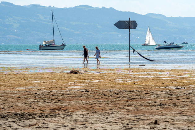 Durch Trockenheit freigelegte Uferzone am Bodensee, Spaziergänger waten durch das flache Wasser zum Ufer, Wasserburg, August 2026 Deutschland, Wasserburg, August 2026, durch Trockenheit freigelegte Uferzone am Bodensee, Spaziergänger waten durch das flache Wasser zum Ufer, die aktuelle Trockenheit hat den Pegelstand stark sinken lassen, Niedrigwasser, Blick über den See, Wasserstand sehr niedrig, zu wenig Regen, schönes Wetter, Sommer, Sonnenschein, Hitze mit Temperaturen bis 33 Grad, Landkreis Lindau, Samstagnachmittag, Klima, Alpen, Bayern,