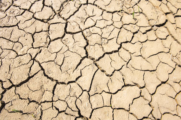 Trockenheit und Wassermangel Rissiger und trockener Boden als Symbolbild für Wassermangel, Trockenheit, Dürre und Hitze - FOTOMONTAGE - NUR FÜR REDAKTIONELLE VERWENDUNG