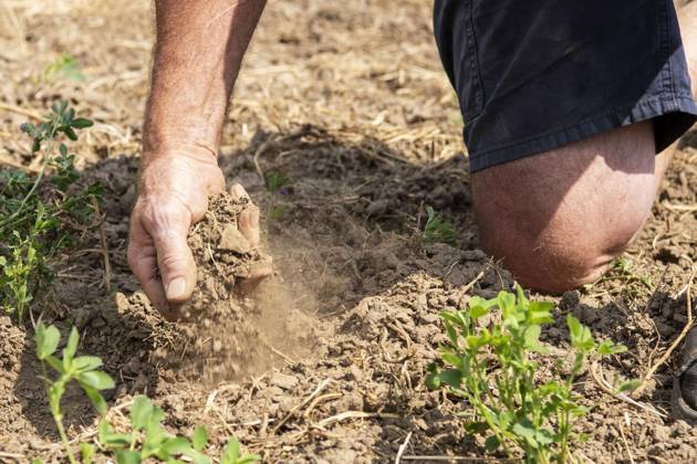 Landwirt Reinhard Mosch vom Grindhof in Mündelheim erzählt, wie Hitze und Dürre der Landwirtschaft zu schaffen machen. 10.08.2026 Duisburg ** NUR FÜR REDAKTIONELLE ZWECKE ** EDITORIAL USE ONLY **<p>Landwirt Reinhard Mosch vom Grindhof in Mündelheim erzählt, wie Hitze und Dürre der Landwirtschaft zu schaffen machen. 10.08.2026 Duisburg Deutschland NRW Duisburg Copyright: DanielxAttia