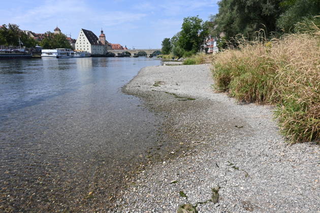 Niedrigwasser der Donau in Regensburg, Bayern. Hitze und Dürre haben in Europa zu teils historisch niedrigen Pegelständen geführt. Die Donau führt an mehreren Stellen so wenig Wasser wie nie seit Beginn der Aufzeichnungen. Die Folgen sind weitreichend. Der Fluss hat einen rekordniedrigen Wasserstand erreicht.