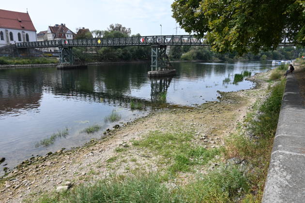 Niedrigwasser der Donau in Regensburg, Bayern. Hitze und Dürre haben in Europa zu teils historisch niedrigen Pegelständen geführt. Die Donau führt an mehreren Stellen so wenig Wasser wie nie seit Beginn der Aufzeichnungen. Die Folgen sind weitreichend. Der Fluss hat einen rekordniedrigen Wasserstand erreicht.