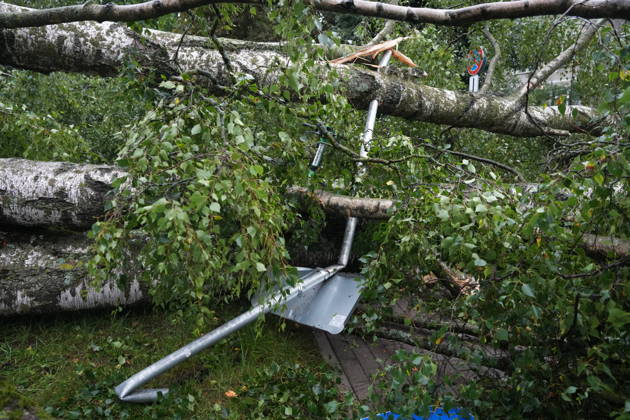 (260823) -- RIGA, Aug. 23, 2026 -- This photo taken on Aug. 23, 2026 shows the aftermath of a powerful storm in Riga, Latvia. A powerful cyclone swept northward across the three Baltic states on Saturday, killing two as strong winds, torrential rain and thunderstorms ravaged Lithuania, Latvia and Estonia. Meteorological data showed Saturday s storm was the most destructive to hit Latvia since January 2005. (Photo by Xinhua) LATVIA-RIGA-STORM-AFTERMATH EdijsxPalens 