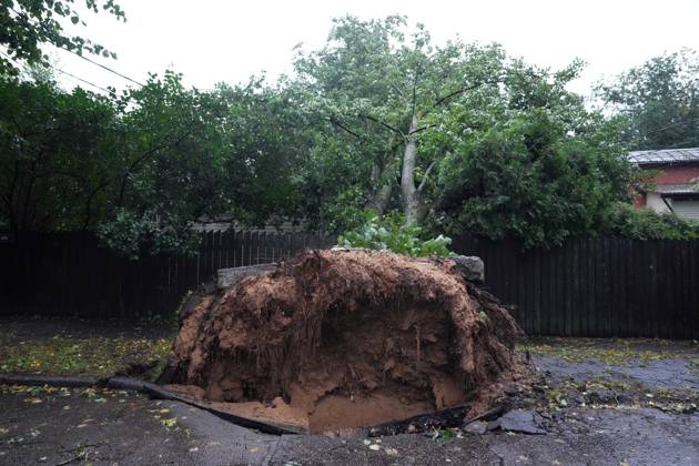 August 23, 2026, Riga, Latvija: The aftermath of a powerful storm is seen in Riga, Latvia, Aug. 23, 2026. Fallen and uprooted trees are scattered across residential areas, damaging parked cars, blocking roads and walkways, and posing a threat to nearby buildings. The storm, which swept across Latvia on Saturday evening and overnight, caused widespread damage across the country, with Riga recording the highest number of reports of storm-related incidents. As of Sunday morning, emergency services had received nearly 1,900 reports of damage caused by strong winds nationwide. Riga Latvija - ZUMAp305 20260823_zip_p305_001 Copyright: xEdijsxPalensx