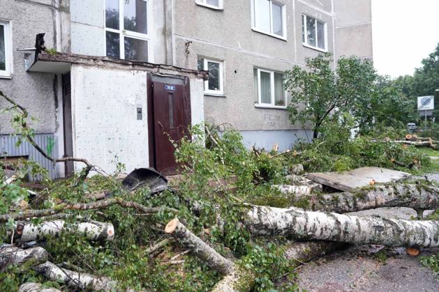 August 23, 2026, Riga, Latvija: The aftermath of a powerful storm is seen in Riga, Latvia, Aug. 23, 2026. Fallen and uprooted trees are scattered across residential areas, damaging parked cars, blocking roads and walkways, and posing a threat to nearby buildings. The storm, which swept across Latvia on Saturday evening and overnight, caused widespread damage across the country, with Riga recording the highest number of reports of storm-related incidents. As of Sunday morning, emergency services had received nearly 1,900 reports of damage caused by strong winds nationwide. Riga Latvija  - ZUMAp305 20260823_zip_p305_002 Copyright: xEdijsxPalensx
