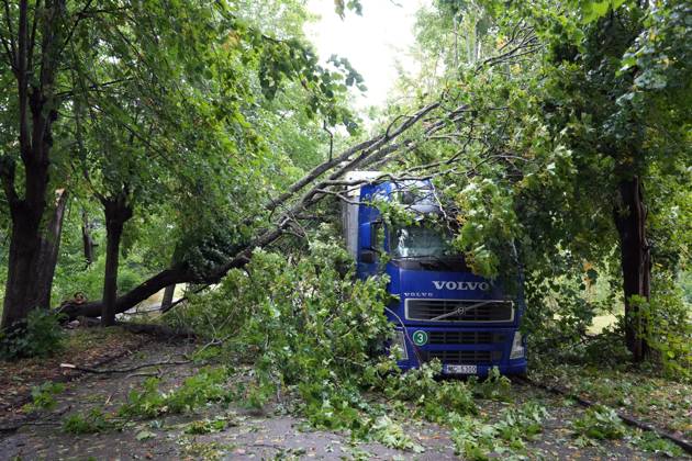 August 23, 2026, Riga, Latvija: The aftermath of a powerful storm is seen in Riga, Latvia, Aug. 23, 2026. Fallen and uprooted trees are scattered across residential areas, damaging parked cars, blocking roads and walkways, and posing a threat to nearby buildings. The storm, which swept across Latvia on Saturday evening and overnight, caused widespread damage across the country, with Riga recording the highest number of reports of storm-related incidents. As of Sunday morning, emergency services had received nearly 1,900 reports of damage caused by strong winds nationwide. Riga Latvija  - ZUMAp305 20260823_zip_p305_020 Copyright: xEdijsxPalensx