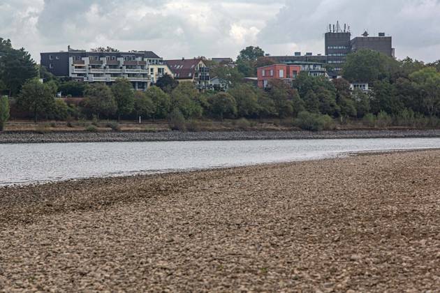 Blick auf das ausgetrocknete Flussbett des Rheins und Porz auf der rechten Rheinseite, gesehen vom Weißer Rheinbogen bei Köln-Sürth. Von den Tiefstständen haben sich die Pegelständde am Rhein inzwischen wieder leicht entfernt. Niedrigwasser Rhein
