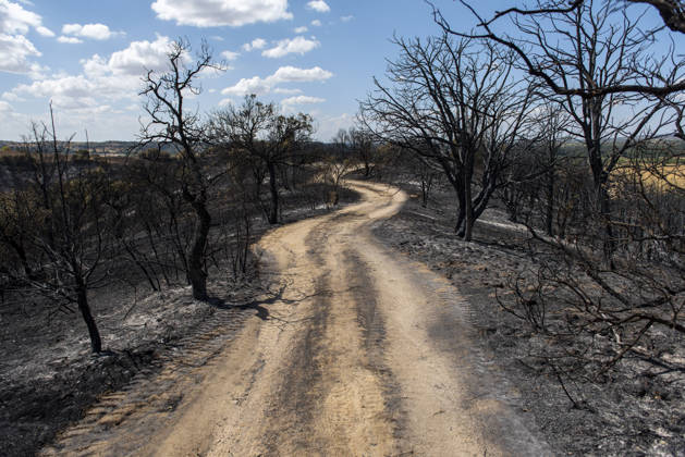 A wildfire in Aldea del Fresno, Madrid, forces the evacuation of this town and Villamantilla Vista after the fire passed through, on August 23, 2026, in Aldea del Fresno, Madrid, Spain. The wildfire that originated in Aldea del Fresno was downgraded from Operational Level 1 to Level 0 under the Civil Protection Plan on August 20 following a very favorable progression of the fire. AUGUST 23, 2026 FIRE EMbers BURNT LAND NATURE ÁBURNT TREES CHARRED FIRE SIERRA OESTE FIRE S PATH BURNT LANDSCAPE LANDSCAPE Aldea del Fresno Madrid Aldea del Fresno Madrid, Spain  Copyright: xGabrixSolerax 7728930