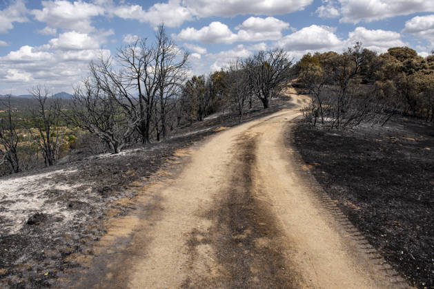 A wildfire in Aldea del Fresno, Madrid, forces the evacuation of this town and Villamantilla Vista after the fire passed through, on August 23, 2026, in Aldea del Fresno, Madrid, Spain. The wildfire that originated in Aldea del Fresno was downgraded from Operational Level 1 to Level 0 under the Civil Protection Plan on August 20 following a very favorable progression of the fire. AUGUST 23, 2026 FIRE EMbers BURNT LAND NATURE ÁBURNT TREES CHARRED FIRE SIERRA OESTE FIRE S PATH BURNT LANDSCAPE LANDSCAPE Aldea del Fresno Madrid Aldea del Fresno Madrid, Spain  Copyright: xGabrixSolerax 7728932