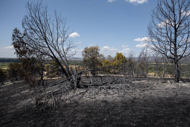 A wildfire in Aldea del Fresno, Madrid, forces the evacuation of this town and Villamantilla Vista after the fire passed through, on August 23, 2026, in Aldea del Fresno, Madrid, Spain. The wildfire that originated in Aldea del Fresno was downgraded from Operational Level 1 to Level 0 under the Civil Protection Plan on August 20, following a very favorable progression of the fire. AUGUST 23, 2026 FIRE EMAKES BURNT LAND NATURE ABURNT TREES CHARRED FIRE WESTERN MOUNTAINS FIRE S PATH BURNT LANDSCAPE LANDSCAPE Aldea del Fresno Madrid Aldea del Fresno Madrid, Spain  Copyright: xGabrixSolerax 7728935