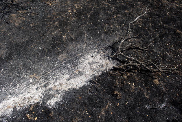 A wildfire in Aldea del Fresno, Madrid, forces the lockdown of this town and Villamantilla A charred tree, on August 23, 2026, in Aldea del Fresno, Madrid, Spain. The wildfire that originated in Aldea del Fresno was downgraded from Operational Level 1 to Level 0 under the Civil Protection Plan on August 20 following a very favorable progression of the fire. AUGUST 23, 2026 FIRE EMbers BURNT LAND NATUREBURNED TREES CHARRED FIRE SIERRA OESTE PATH OF THE FIRE BURNED LANDSCAPE LANDSCAPE TREE Aldea del Fresno Madrid Aldea del Fresno Madrid, Spain  Copyright: xGabrixSolerax 7728937