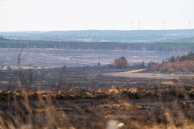 Landscape pictured at a visit at the Botrange panorama deck, in Waimes, on Tuesday 25 August 2026. European commissionner Lahbib visit several sites regarding the fire in the Hautes Fagnes (Hugh Fens) wich started on August 14th with 3000 hectares (on a total of 4500) impacted in the nature reserve.  EMILExWINDAL 184244150