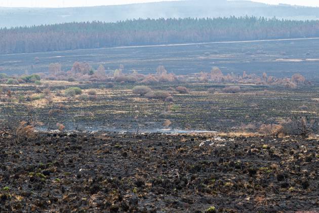 Landscape pictured at a visit at the Botrange panorama deck, in Waimes, on Tuesday 25 August 2026. European commissionner Lahbib visit several sites regarding the fire in the Hautes Fagnes (Hugh Fens) wich started on August 14th with 3000 hectares (on a total of 4500) impacted in the nature reserve.  EMILExWINDAL 184244382