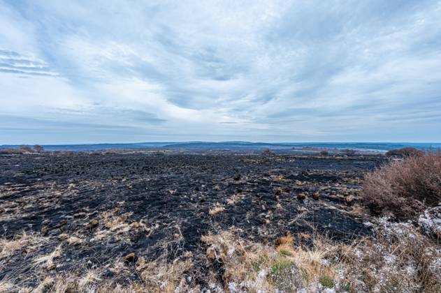 Landscape pictured at a visit at the Botrange panorama deck, in Waimes, on Tuesday 25 August 2026. European commissionner Lahbib visit several sites regarding the fire in the Hautes Fagnes (Hugh Fens) wich started on August 14th with 3000 hectares (on a total of 4500) impacted in the nature reserve.  EMILExWINDAL 184244587