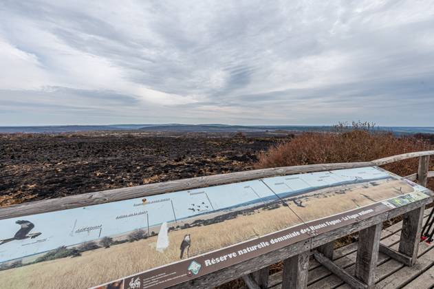 Landscape pictured at a visit at the Botrange panorama deck, in Waimes, on Tuesday 25 August 2026. European commissionner Lahbib visit several sites regarding the fire in the Hautes Fagnes (Hugh Fens) wich started on August 14th with 3000 hectares (on a total of 4500) impacted in the nature reserve.  EMILExWINDAL 184244604