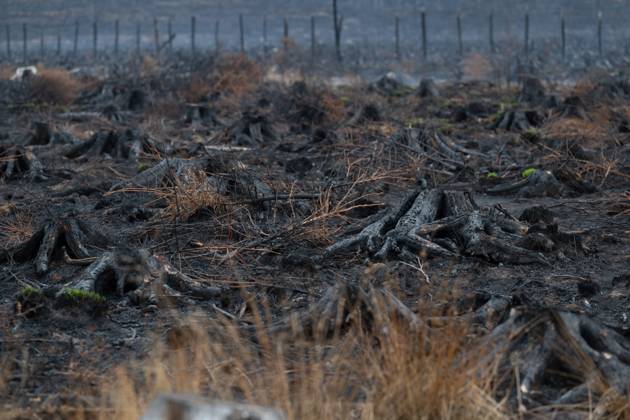 Landscape pictured during a visit at PC-OPS coordination center in Sourbrodt, Waimes, on Tuesday 25 August 2026. European commissionner Lahbib visit several sites regarding the fire in the Hautes Fagnes (Hugh Fens) wich started on August 14th with 3000 hectares (on a total of 4500) impacted in the nature reserve.  EMILExWINDAL 184260911