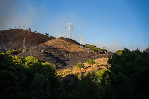 Wildfire Rages in Collserola. BARCELONA, SPAIN - AUGUST 25, 2026. Firefighters battle a devastating wildfire that has scorched dozens of hectares in Collserola Natural Park, prompting the precautionary evacuation of the Can Masdeu social center and several residential homes in the Torre Baro neighborhood. Barcelona Spain Copyright: x xMarcxAsensioxClupesx xJNAxPressx