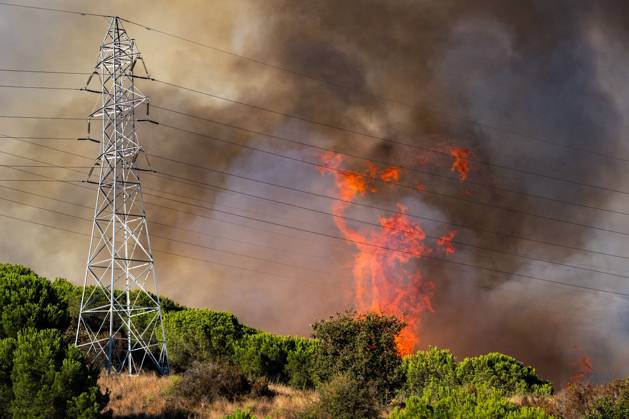 Wildfire Rages in Collserola. BARCELONA, SPAIN - AUGUST 25, 2026. Firefighters battle a devastating wildfire that has scorched dozens of hectares in Collserola Natural Park, prompting the precautionary evacuation of the Can Masdeu social center and several residential homes in the Torre Baro neighborhood. Barcelona Spain Copyright: x xMarcxAsensioxClupesx xJNAxPressx