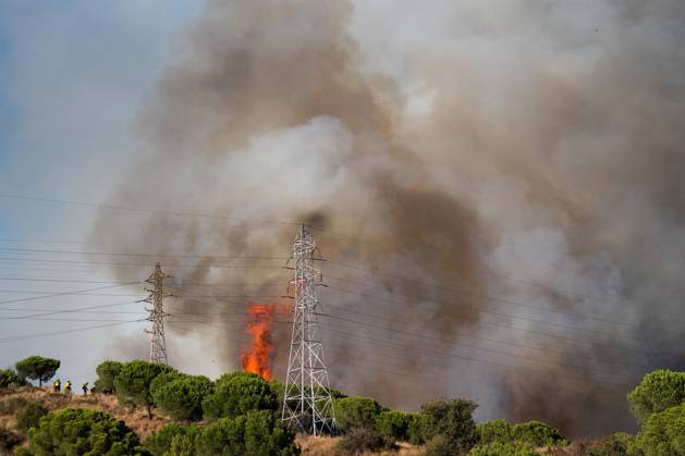 Wildfire Rages in Collserola. BARCELONA, SPAIN - AUGUST 25, 2026. Firefighters battle a devastating wildfire that has scorched dozens of hectares in Collserola Natural Park, prompting the precautionary evacuation of the Can Masdeu social center and several residential homes in the Torre Baro neighborhood. Barcelona Spain Copyright: x xMarcxAsensioxClupesx xJNAxPressx