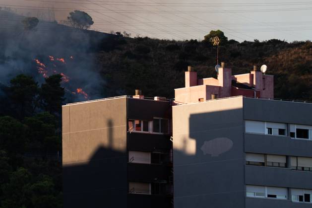 Wildfire Rages in Collserola. BARCELONA, SPAIN - AUGUST 25, 2026. Firefighters battle a devastating wildfire that has scorched dozens of hectares in Collserola Natural Park, prompting the precautionary evacuation of the Can Masdeu social center and several residential homes in the Torre Baro neighborhood. Barcelona Spain Copyright: x xMarcxAsensioxClupesx xJNAxPressx