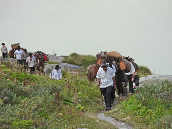 23.08.2026 Schweiz Grimselpass Saeumerfest 23 Jahre Sprinz-Route von Sachseln nach Domodossola.4.Etappe Guttannen - Obergesteln. Bild Die Saeumer mit Pferden im Aufstieg zum Grimselpass.Hinten der Grimselsee.