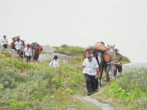 23.08.2026 Schweiz Grimselpass Saeumerfest 23 Jahre Sprinz-Route von Sachseln nach Domodossola.4.Etappe Guttannen - Obergesteln. Bild Die Saeumer mit Pferden im Aufstieg zum Grimselpass.Hinten der Grimselsee.
