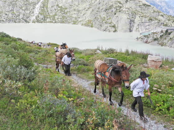 23.08.2026 Schweiz Grimselpass Saeumerfest 23 Jahre Sprinz-Route von Sachseln nach Domodossola.4.Etappe Guttannen - Obergesteln. Bild Die Saeumer mit Pferden im Aufstieg zum Grimselpass.Hinten der Grimselstausee.
