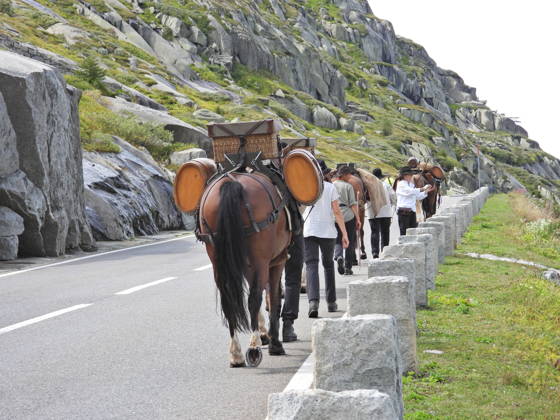 23.08.2026 Schweiz Grimselpass Saeumerfest 23 Jahre Sprinz-Route von Sachseln nach Domodossola.4.Etappe Guttannen - Obergesteln. Bild Die Saeumer mit Pferden im Aufstieg zum Grimselpass.
