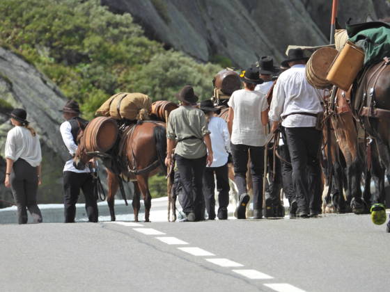 23.08.2026 Schweiz Grimselpass Saeumerfest 23 Jahre Sprinz-Route von Sachseln nach Domodossola.4.Etappe Guttannen - Obergesteln. Bild Die Saeumer mit Pferden im Aufstieg zum Grimselpass.