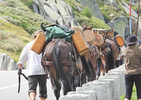 23.08.2026 Schweiz Grimselpass Saeumerfest 23 Jahre Sprinz-Route von Sachseln nach Domodossola.4.Etappe Guttannen - Obergesteln. Bild Die Saeumer mit Pferden im Aufstieg zum Grimselpass.